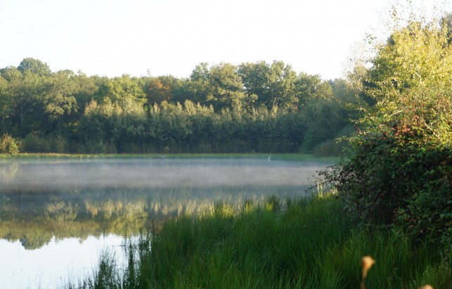 Natura 2000 : de l’actu !