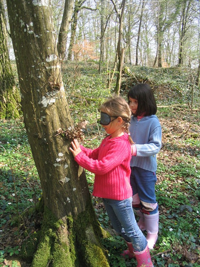 arbre_enfants